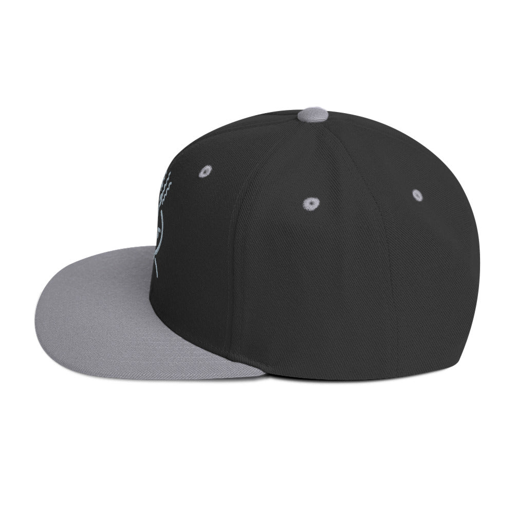 Michelle Mishkin Classic Embroidered Snapback Gray & Black Unisex